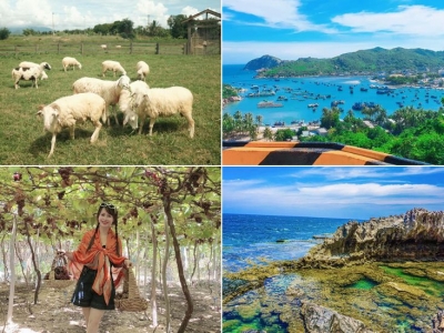 Tour Cần Thơ Ninh Thuận 3 ngày 3 đêm