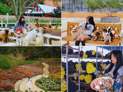 Tour Đà Lạt 4 ngày 3 đêm