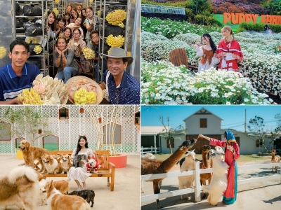 Tour Đà Nẵng Đà Lạt 4 ngày 3 đêm