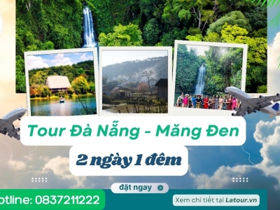 Tour Đà Nẵng - Măng Đen 2 ngày 1 đêm 