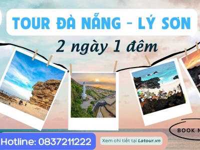 Tour Đảo Lý Sơn 2 ngày 1 đêm đi từ Đà Nẵng