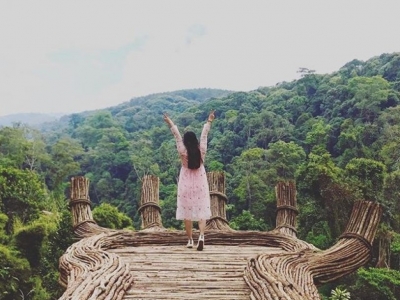 Tour du lịch check-in Đà Lạt