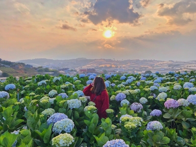 Tour du lịch Đà Lạt 1 ngày đón tại Ninh Thuận