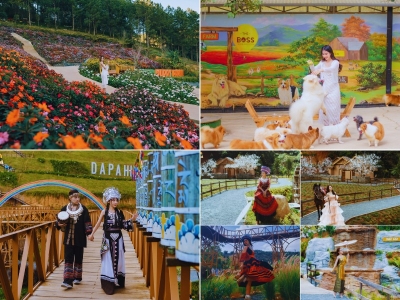 Tour du lịch Đà Lạt 3 ngày 2 đêm