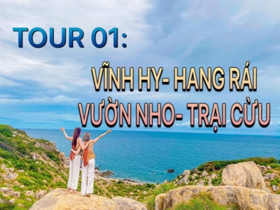 Tour du lịch Hang Rái- Vĩnh Hy- Vườn Nho- Đồng Cừu 