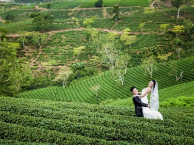 Tour du lịch nhà vườn tại Đà Lạt