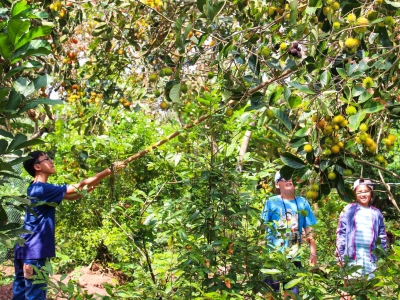 Tour Gia Lai - Mỹ Tho - Cần Thơ - Cà Mau - Bạc Liêu 3 Ngày 2 Đêm