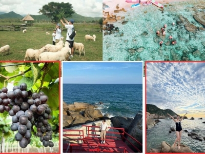 Tour Gia Lai Phan Rang 3 ngày 2 đêm