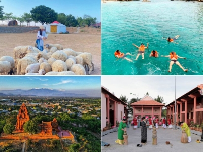 Tour Hải Phòng Phan Rang 3 ngày 2 đêm