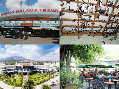 Tour Long An - Nha Trang - Đà Lạt 5 ngày 4 đêm 