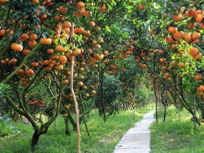 Tour Miền Tây 3 Ngày 2 Đêm Đi Từ Quảng Nam