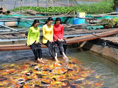 Tour Mỹ Tho - Châu Đốc - Cần Thơ 3 Ngày 2 Đêm