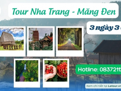 Tour Nha Trang Măng Đen 3 ngày 3 đêm