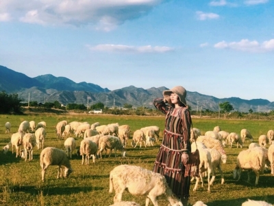 Tour Ninh Thuận 3 ngày 2 đêm