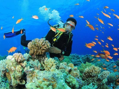 Tour Phú Yên Quy Nhơn 2 ngày 1 đêm