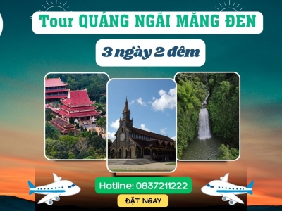 TOUR QUẢNG NGÃI MĂNG ĐEN 3 NGÀY 2 ĐÊM