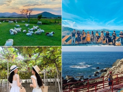 Tour Quảng Ngãi Ninh Thuận 3 ngày 3 đêm
