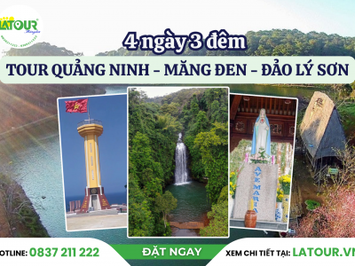 Tour Quảng Ninh - Măng Đen - Đảo Lý Sơn 4 Ngày 3 Đêm