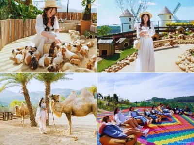 Tour Quảng Trị Đà Lạt 3 ngày 2 đêm