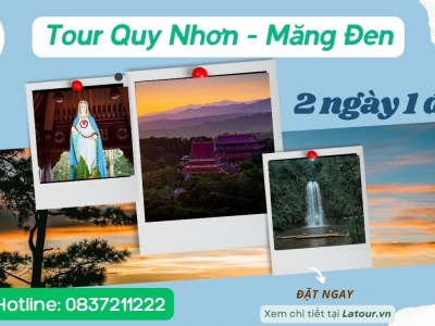 Tour Quy Nhơn Măng Đen 2 ngày 1 đêm