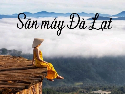 Tour săn mây Đà Lạt - Săn mây tại thảm gỗ săn mây Cầu Đất