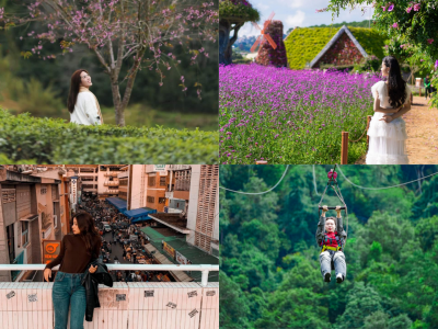Tour Thái Bình Đà Lạt 4 ngày 3 đêm