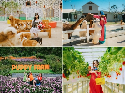 Tour Vũng Tàu Đà Lạt 3 ngày 2 đêm