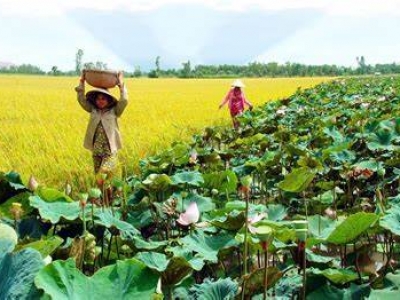 Tour Vũng Tàu - Mỹ Tho - Cần Thơ - Sóc Trăng - Bạc Liêu - Cà Mau 4 Ngày 3 Đêm