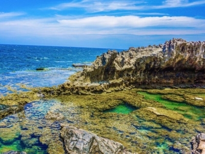 Tour Vũng Tàu Vĩnh Hy 2 ngày 2 đêm