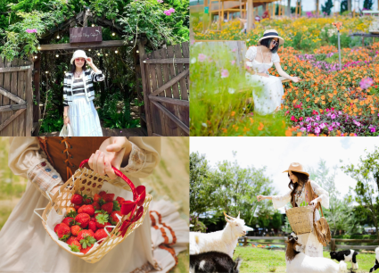 Tour Bình Phước Đà Lạt 4 ngày 3 đêm