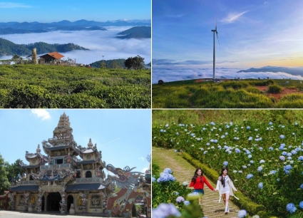 Tour Cà Mau Đà Lạt 3 ngày 2 đêm