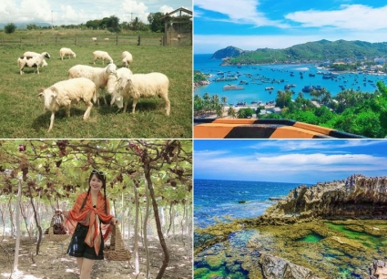 Tour Cần Thơ Ninh Thuận 3 ngày 3 đêm