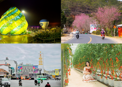 Tour Đà Lạt đi từ Bình Định 4 ngày 3 đêm