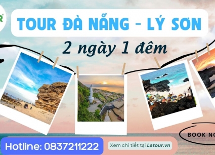 Tour Đảo Lý Sơn 2 ngày 1 đêm đi từ Đà Nẵng