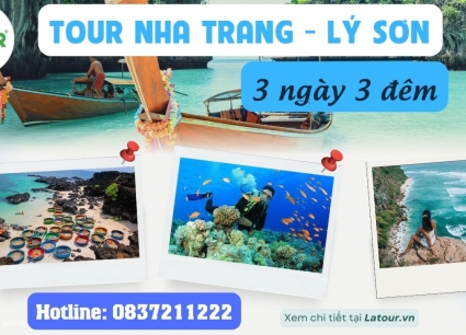 Tour Đảo Lý Sơn 3 ngày 3 đêm đi từ Nha Trang