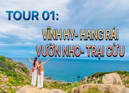 Tour du lịch Hang Rái- Vĩnh Hy- Vườn Nho- Đồng Cừu 