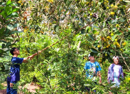 Tour Gia Lai - Mỹ Tho - Cần Thơ - Cà Mau - Bạc Liêu 3 Ngày 2 Đêm