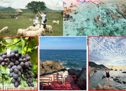 Tour Gia Lai Phan Rang 3 ngày 2 đêm