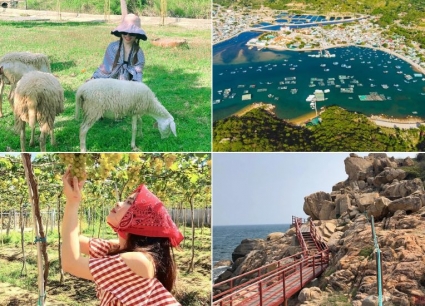 Tour Hà Nội Phan Rang 3 ngày 2 đêm