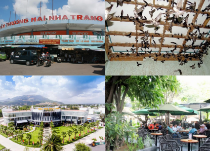 Tour Long An - Nha Trang - Đà Lạt 5 ngày 4 đêm 