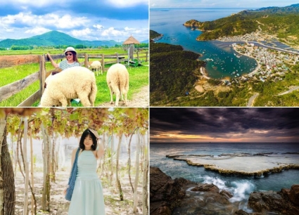 Tour Long An Ninh Thuận 3 ngày 3 đêm