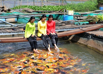 Tour Mỹ Tho - Châu Đốc - Cần Thơ 3 Ngày 2 Đêm