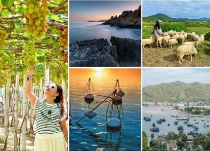 Tour Nam Định Ninh Thuận Nha Trang 4 ngày 3 đêm