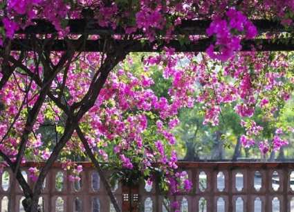 Tour Quảng Nam Quy Nhơn 3 ngày 2 đêm