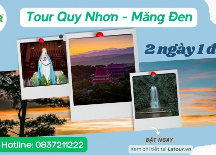Tour Quy Nhơn Măng Đen 2 ngày 1 đêm