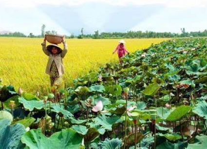 Tour Vũng Tàu - Mỹ Tho - Cần Thơ - Sóc Trăng - Bạc Liêu - Cà Mau 4 Ngày 3 Đêm