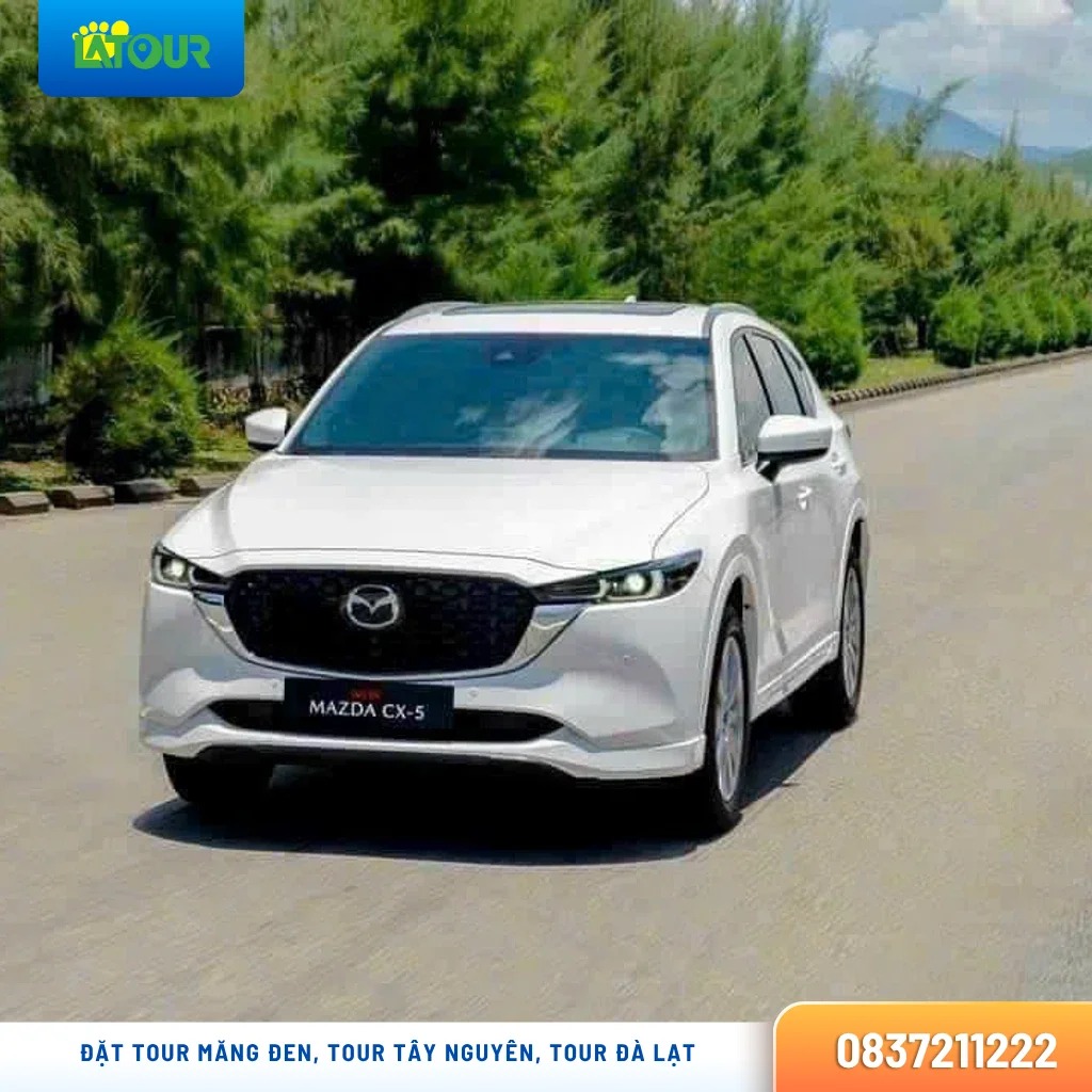Thuê xe CX5 Gia Lai - hình 3