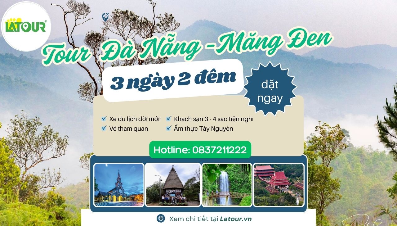 Tour Đà Nẵng - Măng Đen 3 ngày 2 đêm - ngày 1
