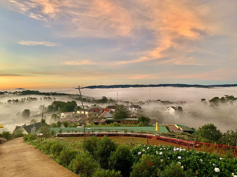 Đồi Mây Đà Lạt