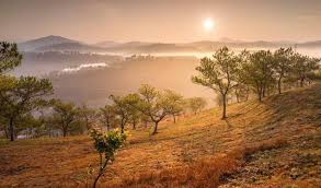 Đồi Thiên Phúc Đức